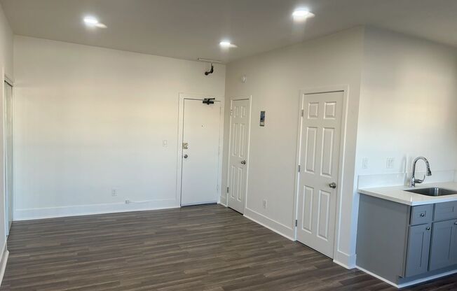 Studio, 1 bath, 400 sqft, $1,495, Unit 0310