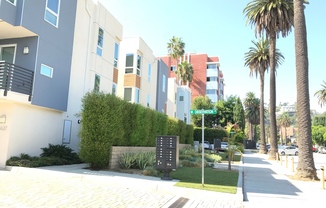 Modern Home in Hollywood with 2-Bedrooms, 3 Baths, 2-Car Attached Garage, and Private Rooftop Deck