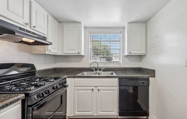 A kitchen with a black stove top oven and a black dishwasher.