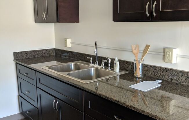 1 bed, 1 bath, 550 sqft, $1,069, Unit 2809-303