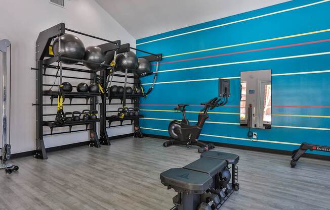 A gym with a bench, weights, and a mirror.