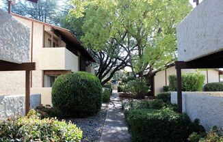 Cedar Grove Apartments