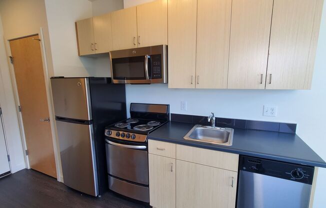Studio, 1 bath, 245 sqft, $1,495, Unit 301