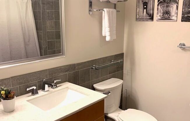 1 bed, 1 bath, $3,500, Unit 508