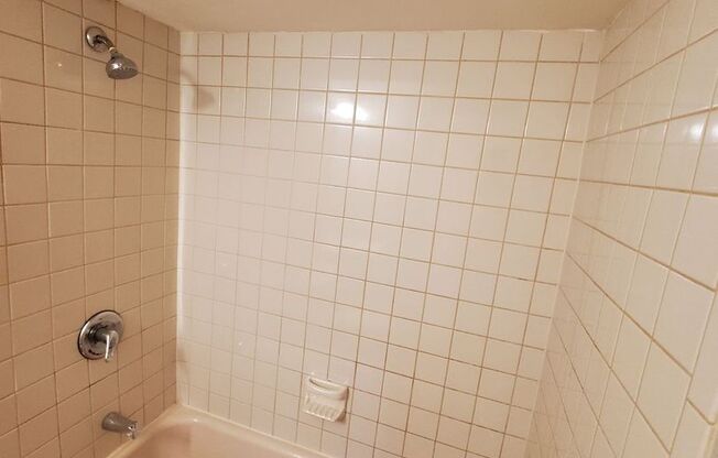 Studio, 1 bath, 500 sqft, $595, Unit #4