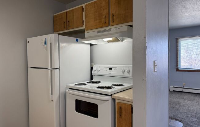 1 bed, 1 bath, 465 sqft, $625, Unit 1119-312