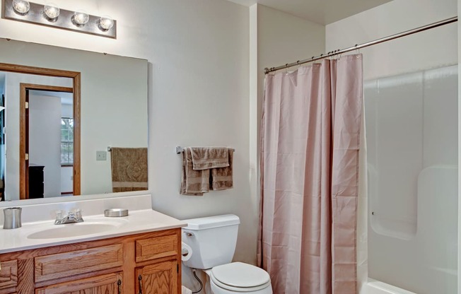 Arbor Ridge Bathroom View, Weidner Real Estate Properties Apartments for rent Milwaukee, WI