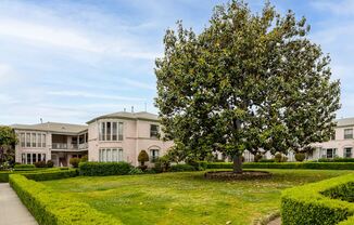 a house with a large tree in front of it