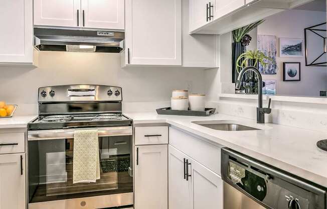 A modern kitchen with a stove, oven, and a dishwasher.