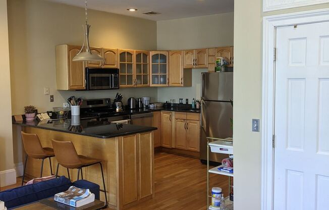 South End 1 bedroom for 9/1 on Tremont Street