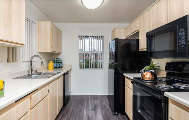 our apartments showcase a modern kitchen