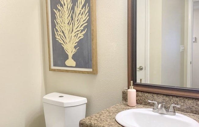 a bathroom with a sink toilet and a mirror