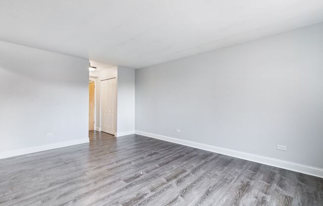 Studio, 1 bath, 369 sqft, $1,500, Unit 506
