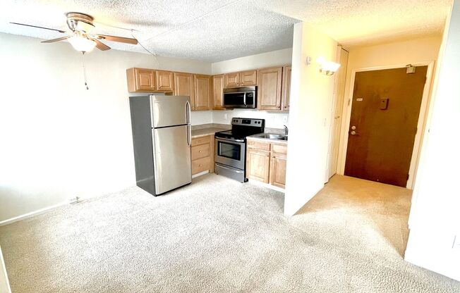 Studio, 1 bath, 375 sqft, $775, Unit 407B