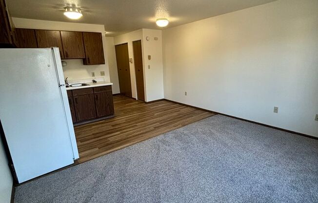 Studio, 1 bath, 360 sqft, $550, Unit 20