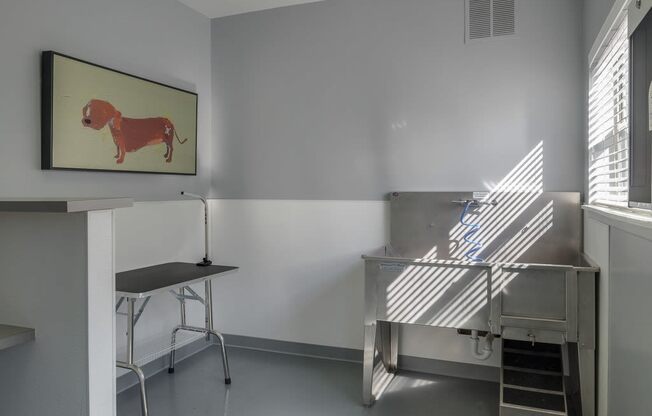 Wash area at Centennial Crossing at Lenox Gate in Goodletteville TN August 2020