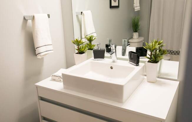 Modern Sink and Fixtures in Bathroom
