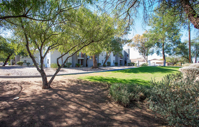 Landscaping at Acacia Hills Apartments in Tucson Arizona