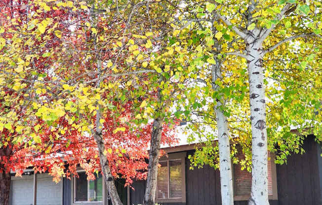 Exterior, Patio, Balcony, Courtyard, Landscaping