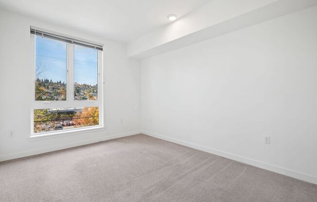 1 bed, 1 bath, 653 sqft, $1,950, Unit 302