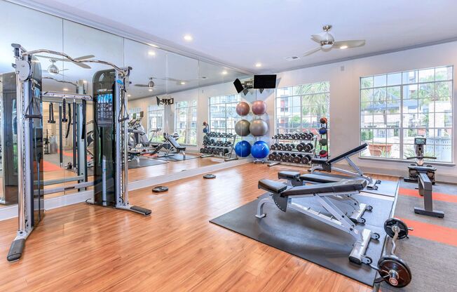 City Park in the Heights