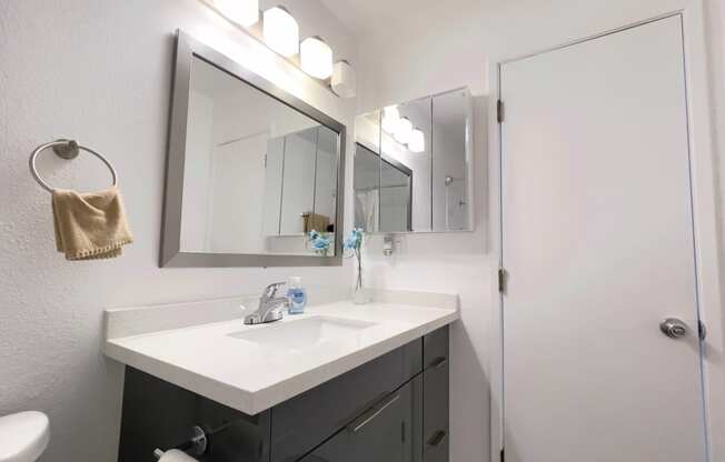 a bathroom with a sink and a mirror and a shower