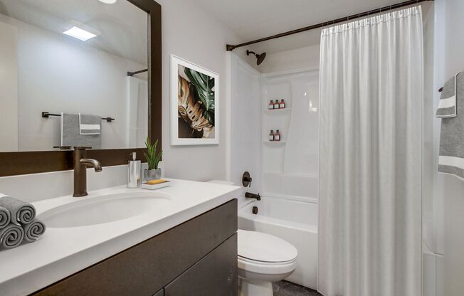 Le Jaime- Newly Renovated Living in the Heart of Clairemont