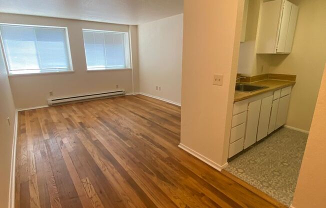Bridgeview Apts.