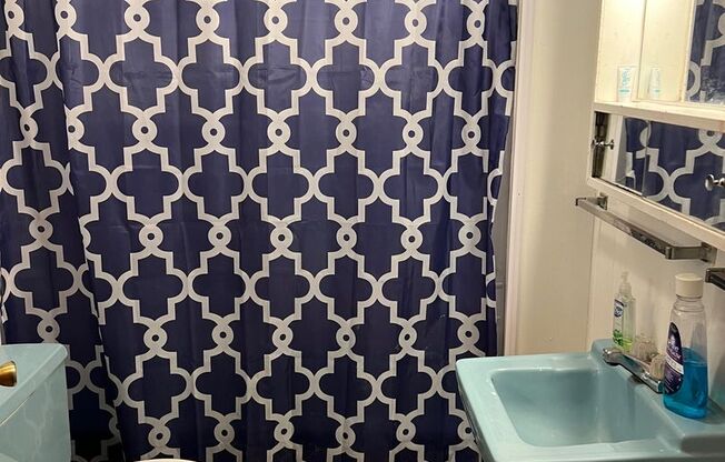 4-Bedroom, 3-Bath Bungalow Near Bryan Park