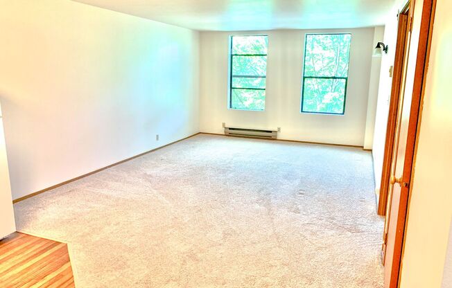1 bed, 1 bath, 514 sqft, $1,495, Unit 304