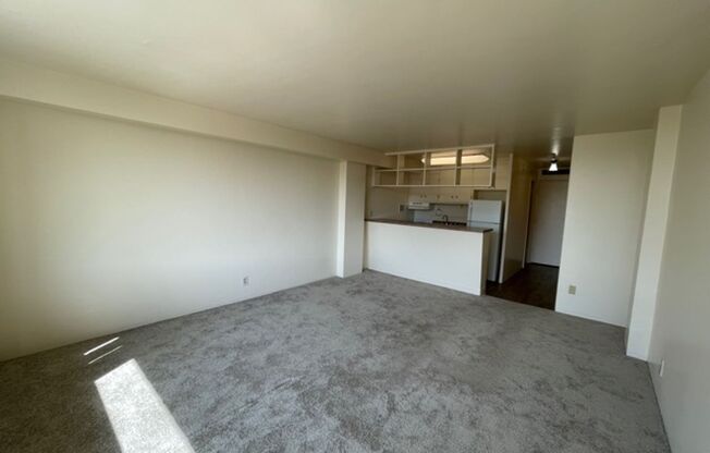 Studio, 1 bath, 375 sqft, $995, Unit 908