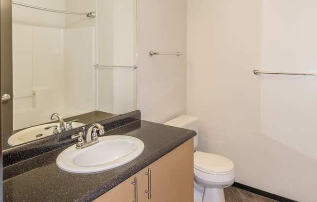 a bathroom with a sink and a toilet and a mirror