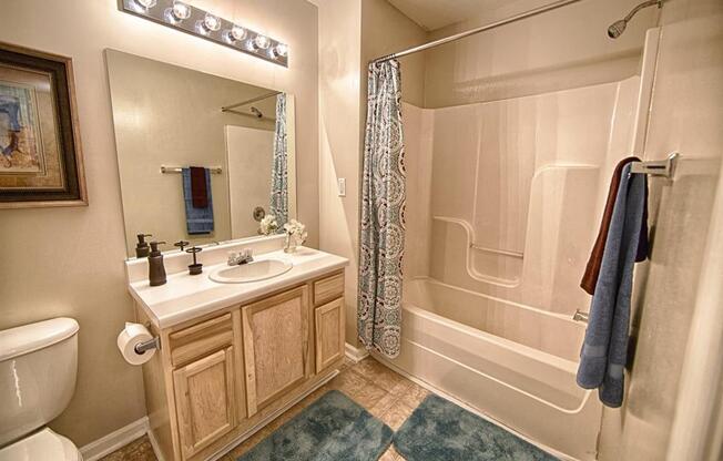 Mountain View Apartment Homes, Tuscaloosa, AL, Bathroom