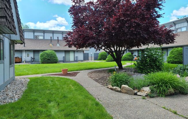 1 bed, 1 bath, 450 sqft, $995, Unit 19
