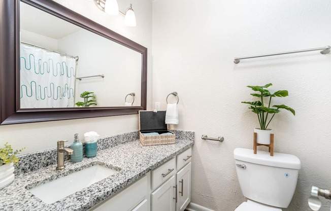 a bathroom with a toilet and a sink and a mirror