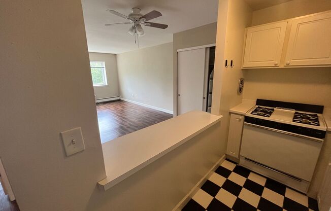 1 bed, 1 bath, $1,095, Unit 317