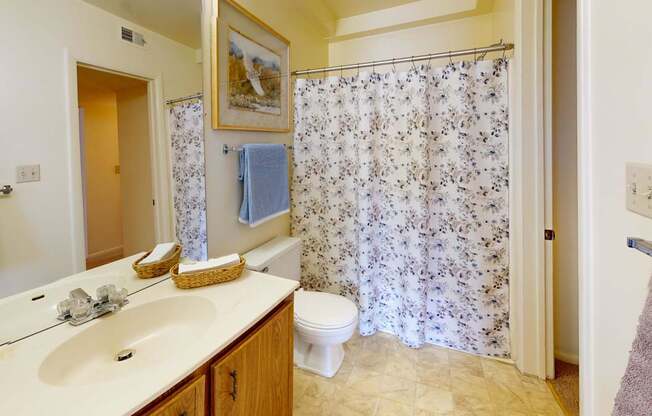 a full bathroom with a walk-in closet