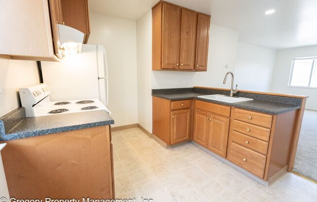 1525 Schiller
