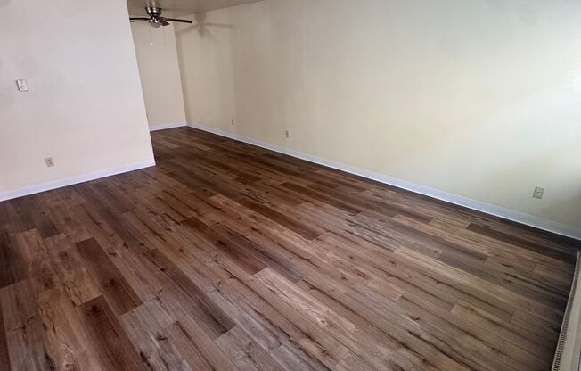 Avante Apartments - Charming, Centrally Located  Building with Off Street Parking!