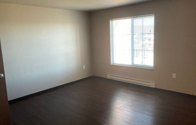 Studio, 1 bath, 472 sqft, $1,275, Unit 5104