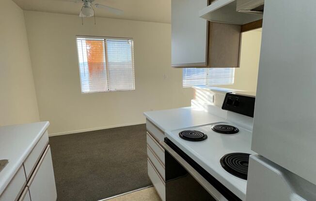 1 bed, 1 bath, $950