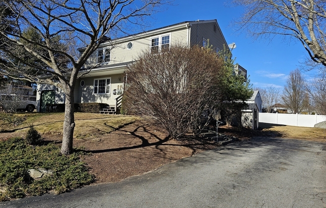 60 ORCH ST