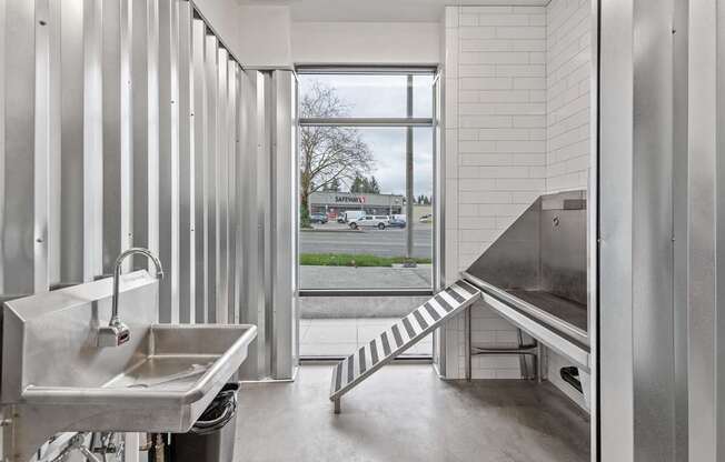 A modern dog wash with a large window overlooking a parking lot.