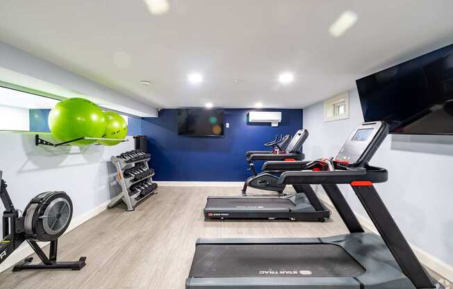 A gym with treadmills, elliptical machines, and a fan.