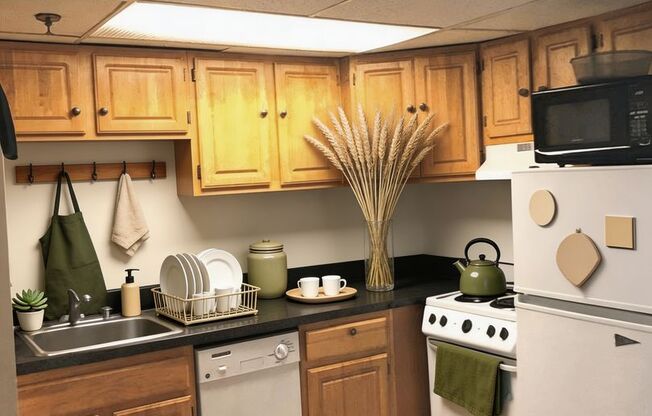 487 Commonwealth Ave #506 Boston MA 02215