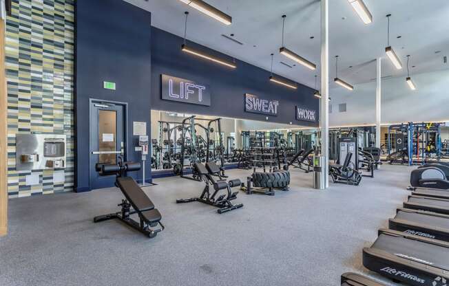 a gym with cardio equipment and weights in a building with blue walls