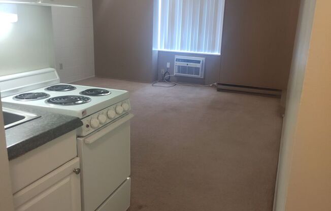 Studio, 1 bath, $450, Unit 327