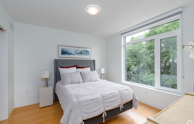 1 bed, 1 bath, 711 sqft, $3,300, Unit 209ADA