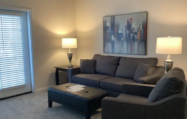 Palisades at New River