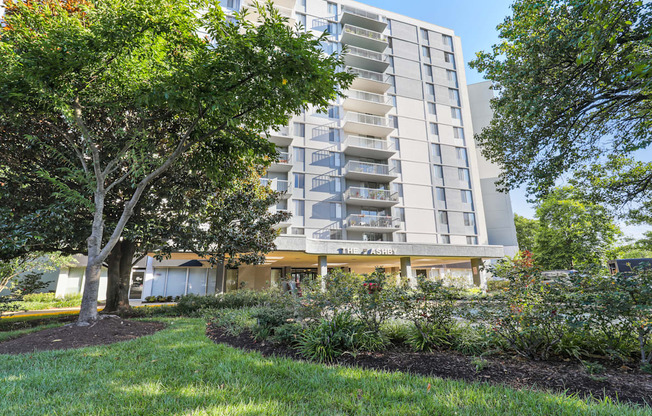 A modern apartment building with a tree in front.